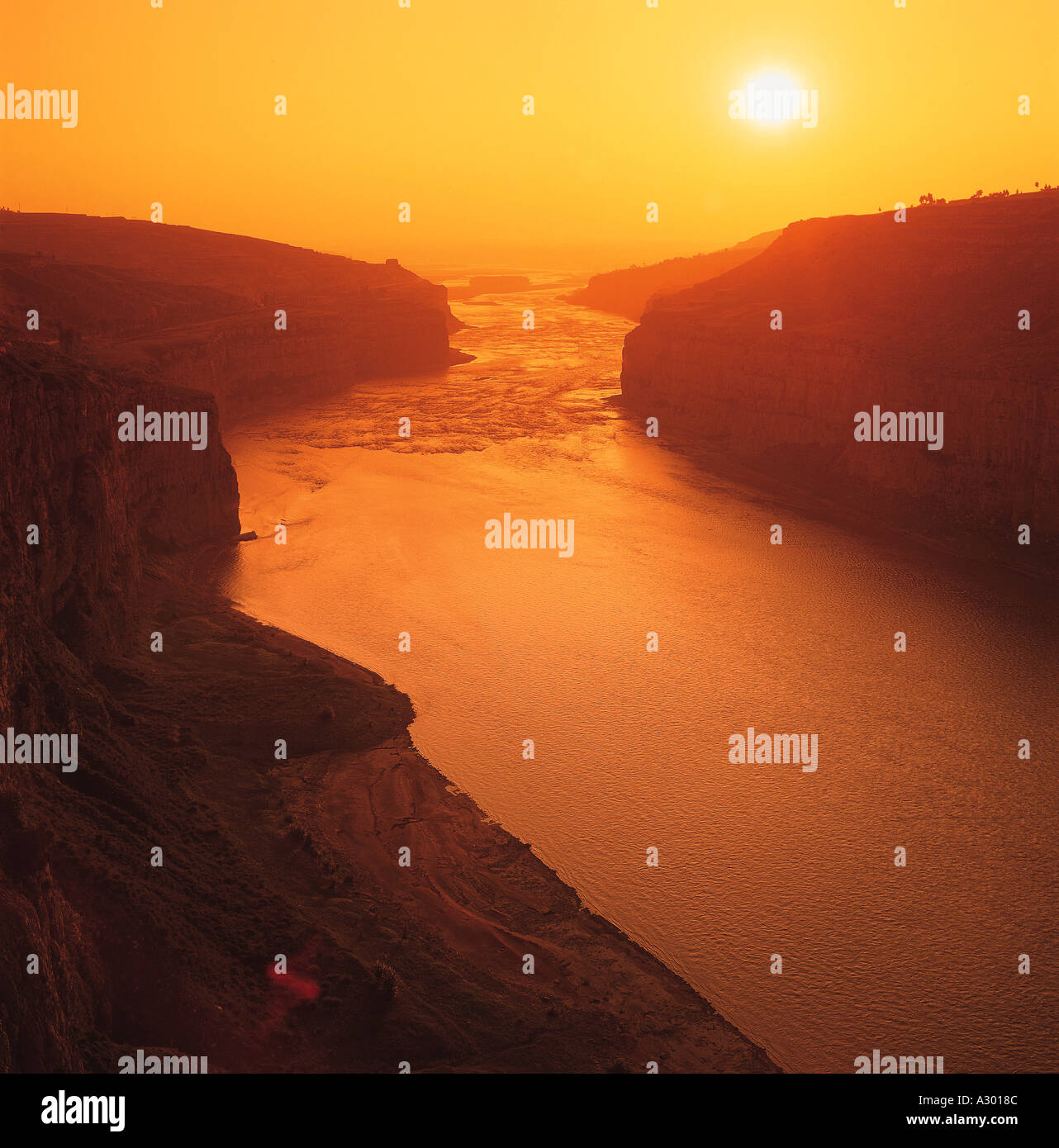 My Image 14