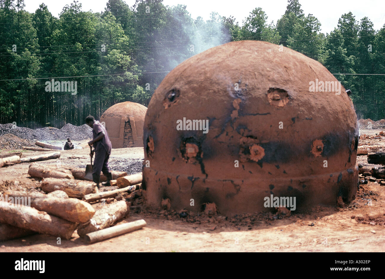 Man loading wood into a kiln for making charcoal Viphya Plateau Malawi