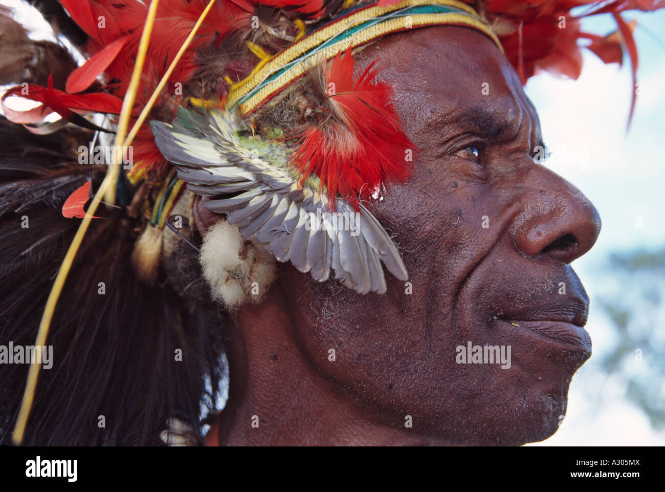 Highlands warrior hair decorated with paradise bird's feather Sing Sing Festival Mt Hagen Papua New Guinea Stock Photo