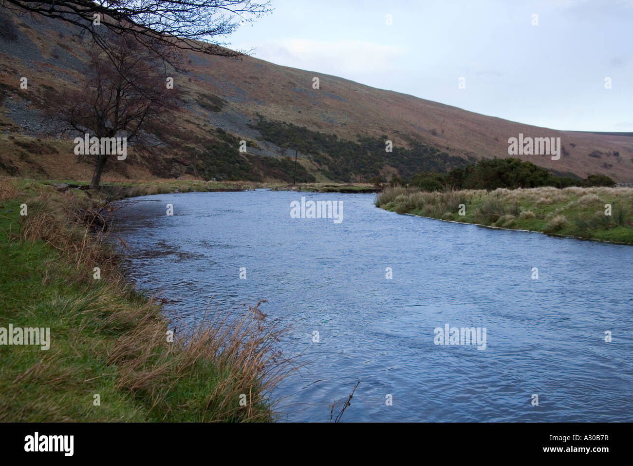 Ingram river Northumberland, England Stock Photo Alamy