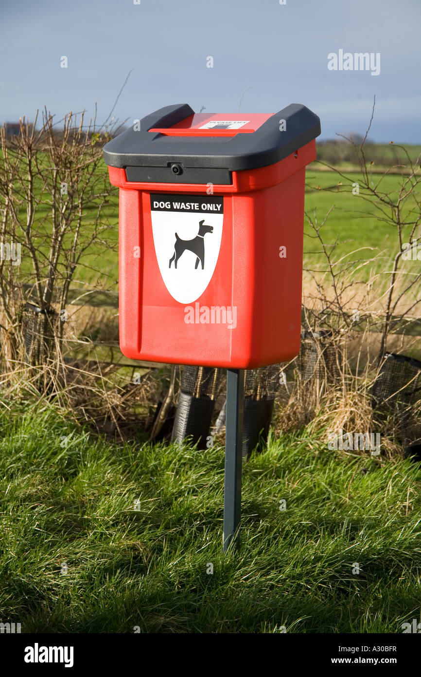 Dog waste bin, Northumberland, England Stock Photo Alamy