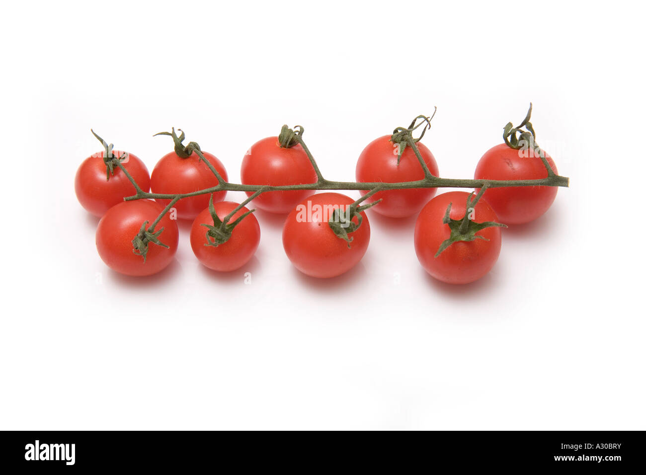 Vine tomatoes isolated on a white studio background Stock Photo - Alamy