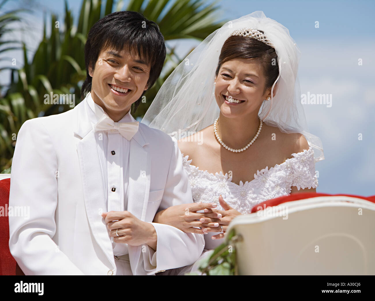Newlyweds on horsedrawn carriage Stock Photo