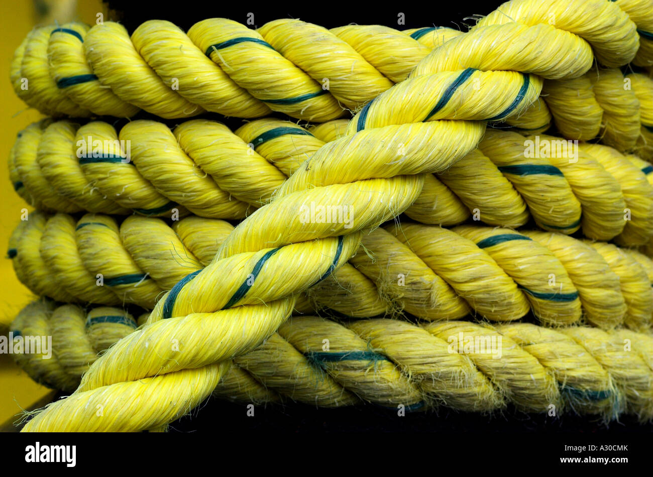 Close up of coiled yellow rope Stock Photo