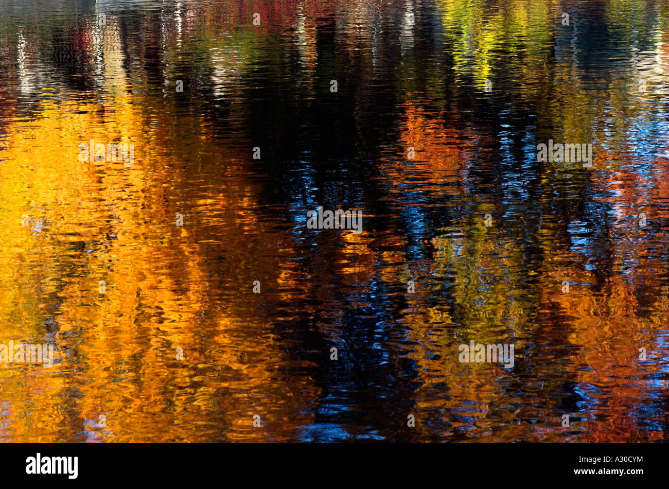 Colours of autumn leaves hi-res stock photography and images - Alamy