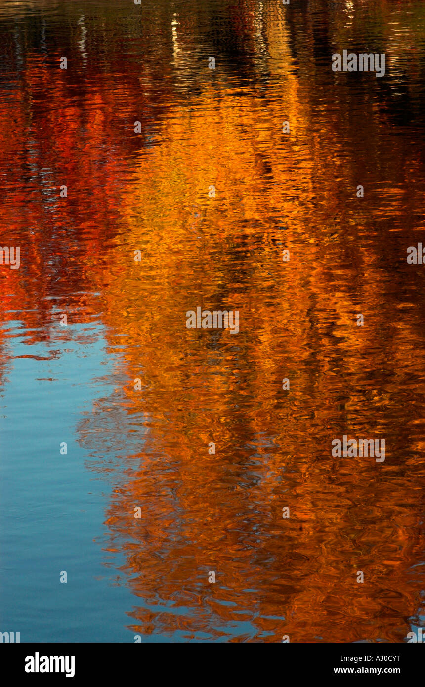 Reflection of autumn leaves in the rippled surface of a river Stock ...