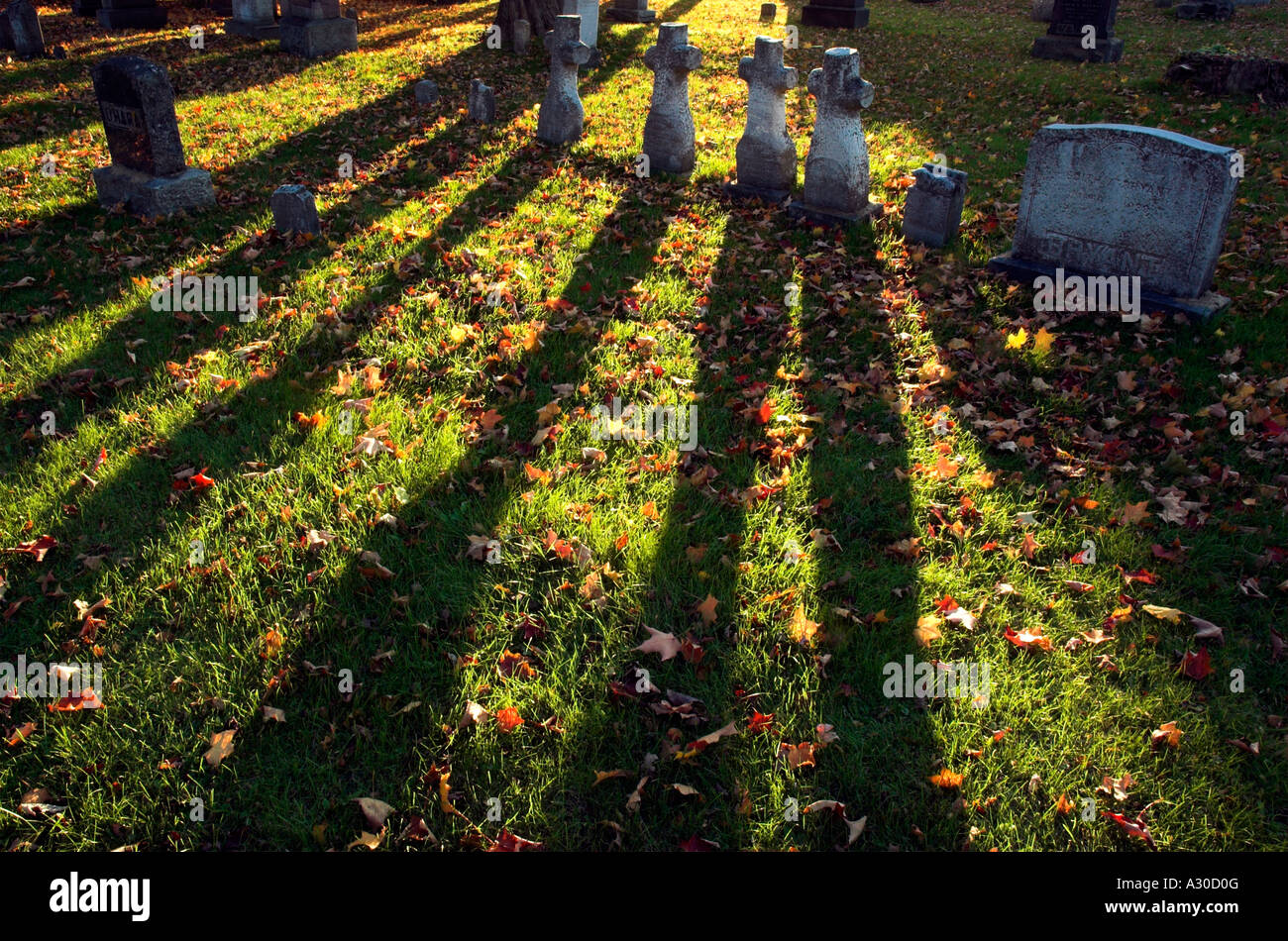 Strong shadows from four cross shaped gravestones in a graveyard in Farnham Estrie Quebec Stock Photo