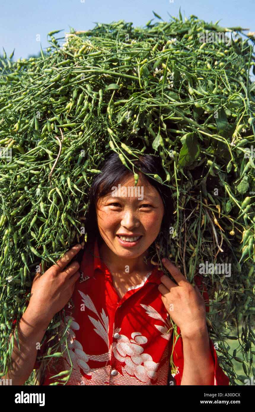 Woman carrying green beans China Stock Photo