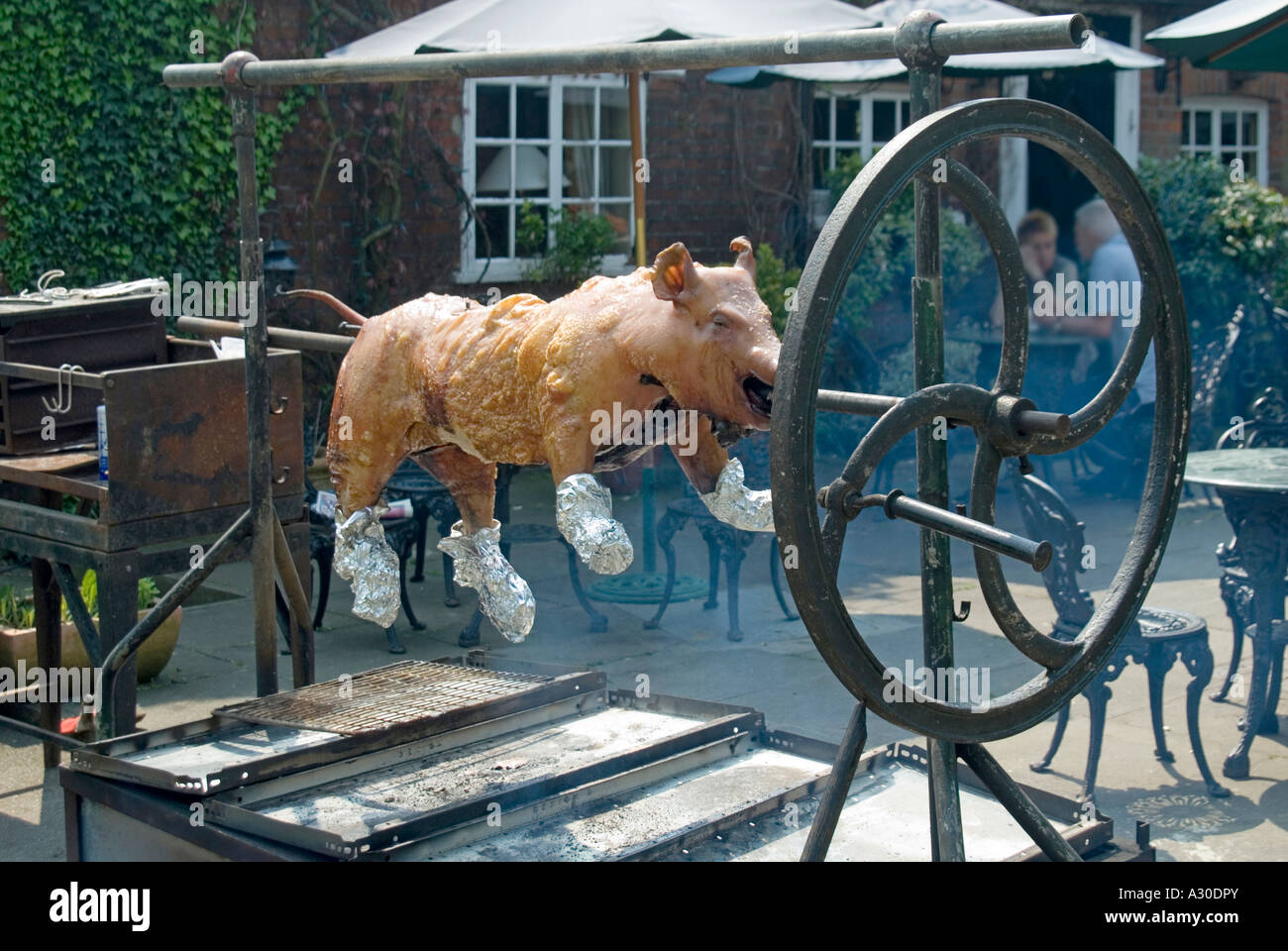 Pig carcass being roasted on traditional outdoor rotating spit in roadside forecourt at rural inn pub to be served as roast pork Essex England UK Stock Photo
