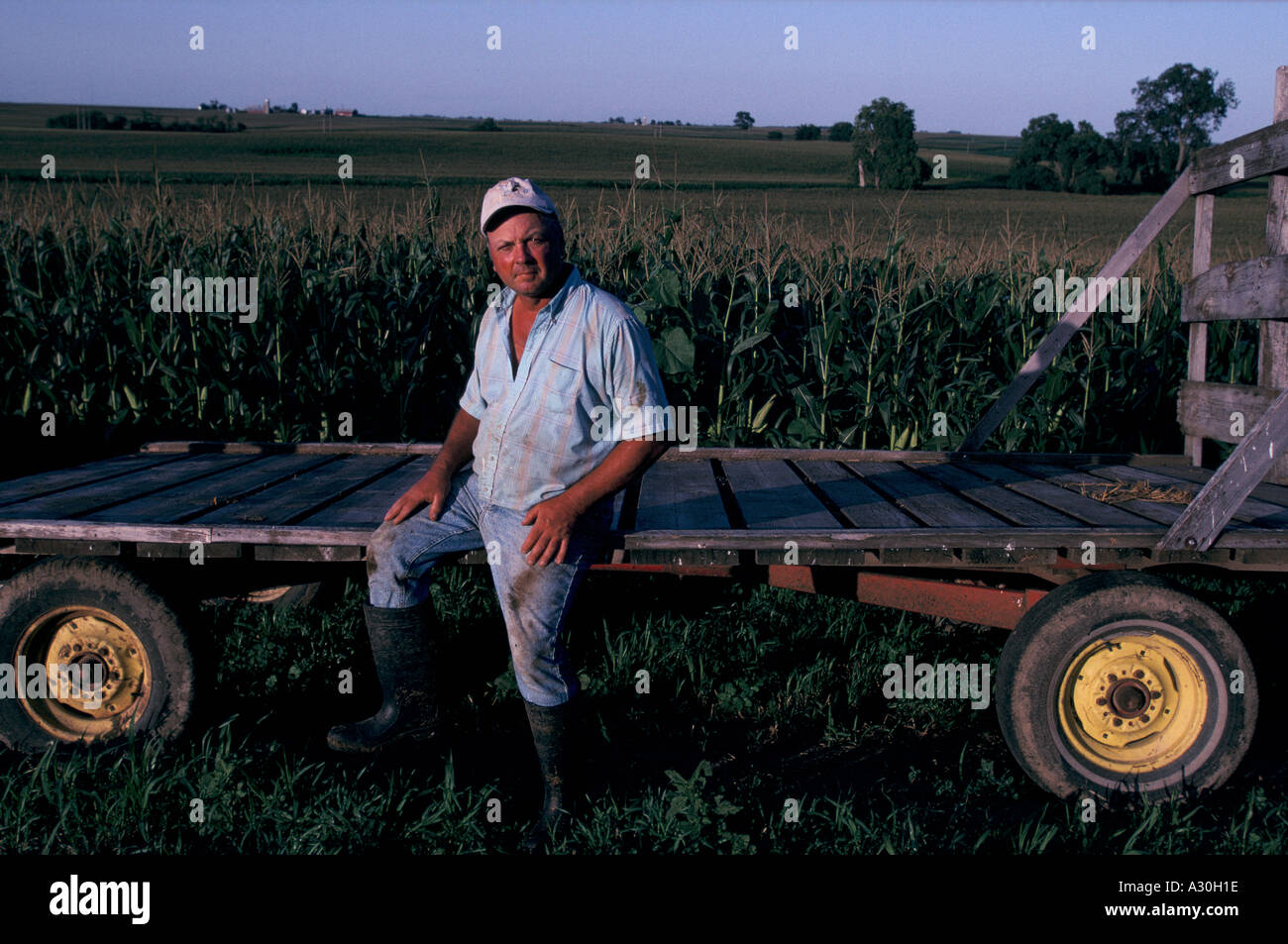 hog farmer usa iowa 1992 Stock Photo