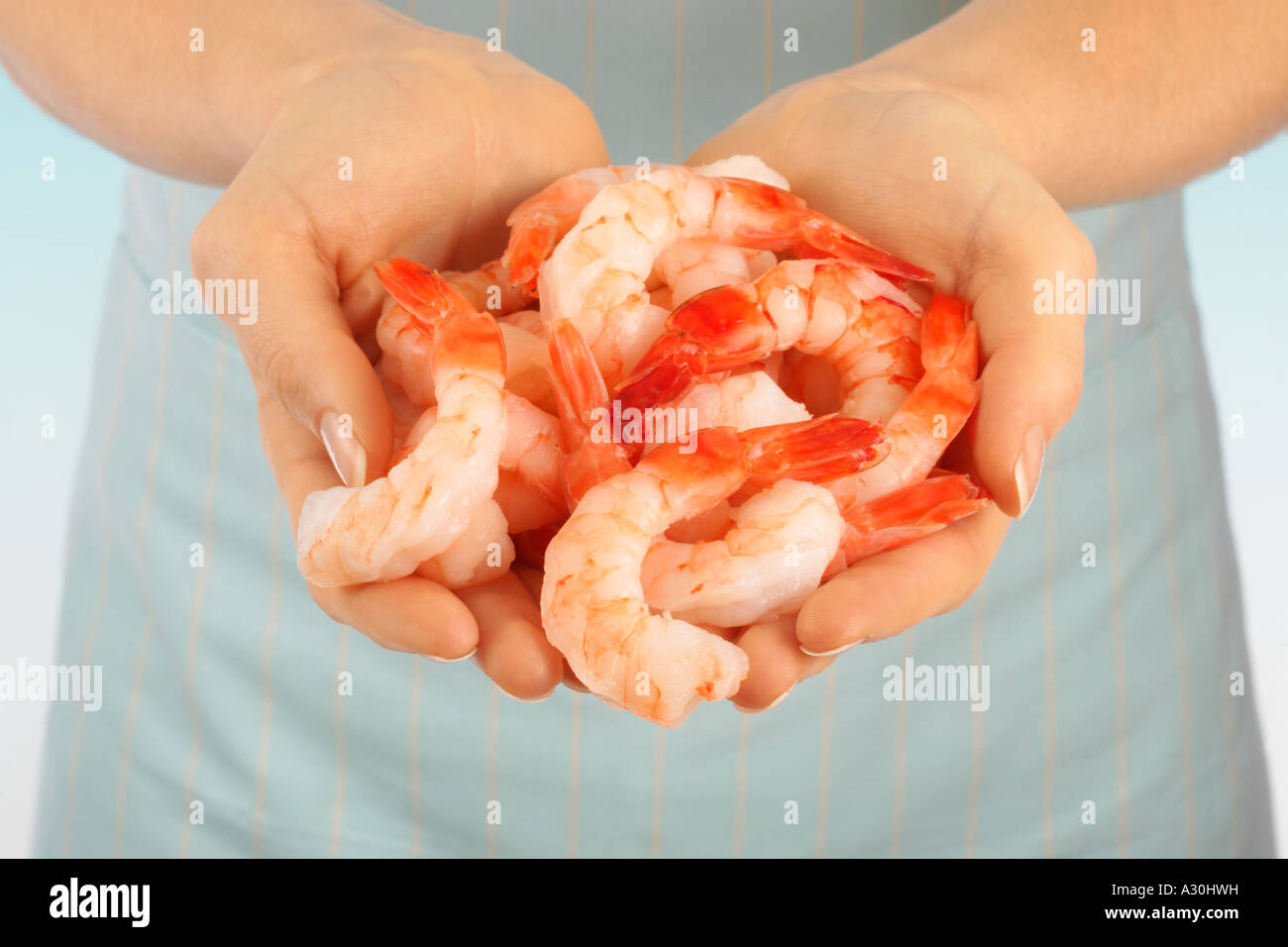 HANDFUL KING PRAWNS / SHRIMP PRAWN SEAFOOD FOOD Stock Photo Alamy