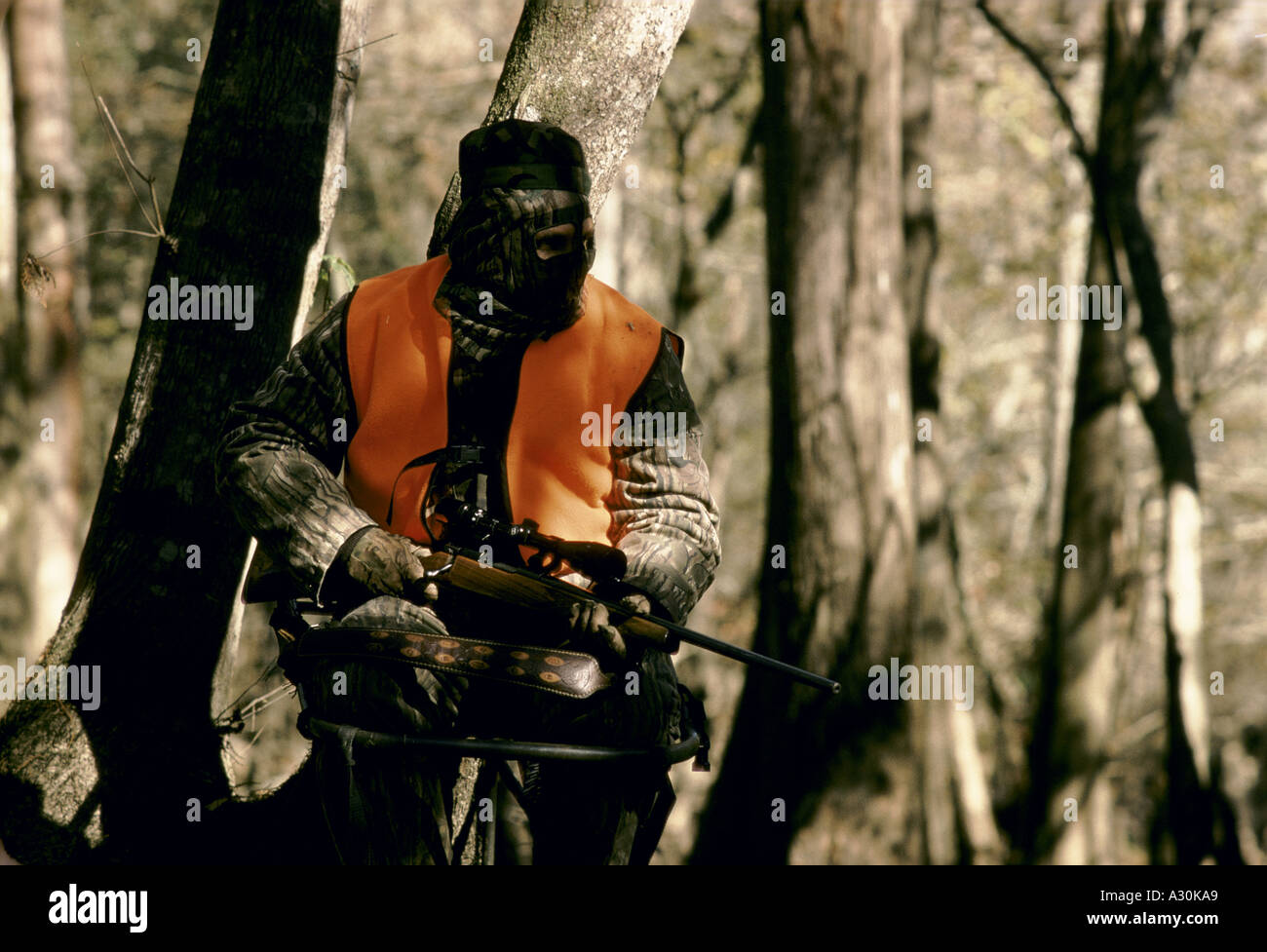 usa mississippi delta don barnes deer hunting Stock Photo