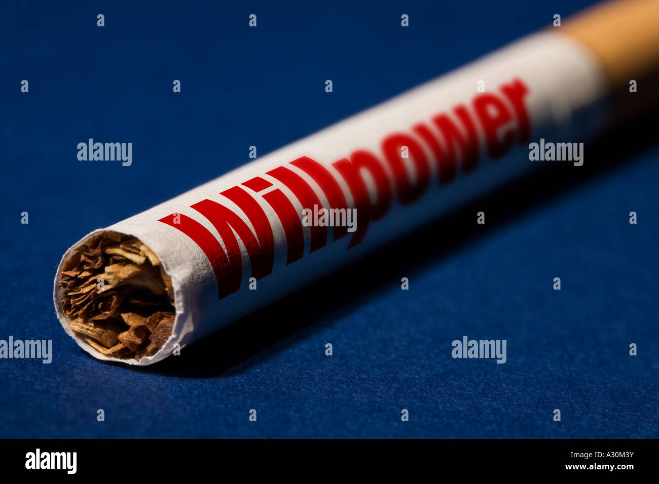 Cigarette with willpower printed on the side of it Stock Photo