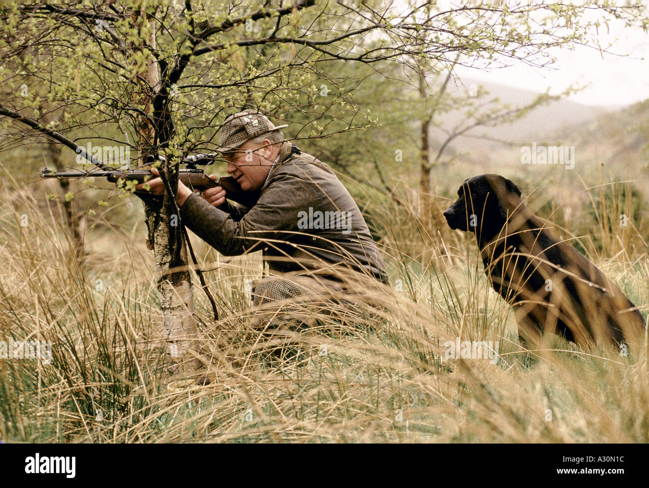 game keeper forester kneeling aiming rifle with telescopic sight hunting deer, scotland Stock Photo