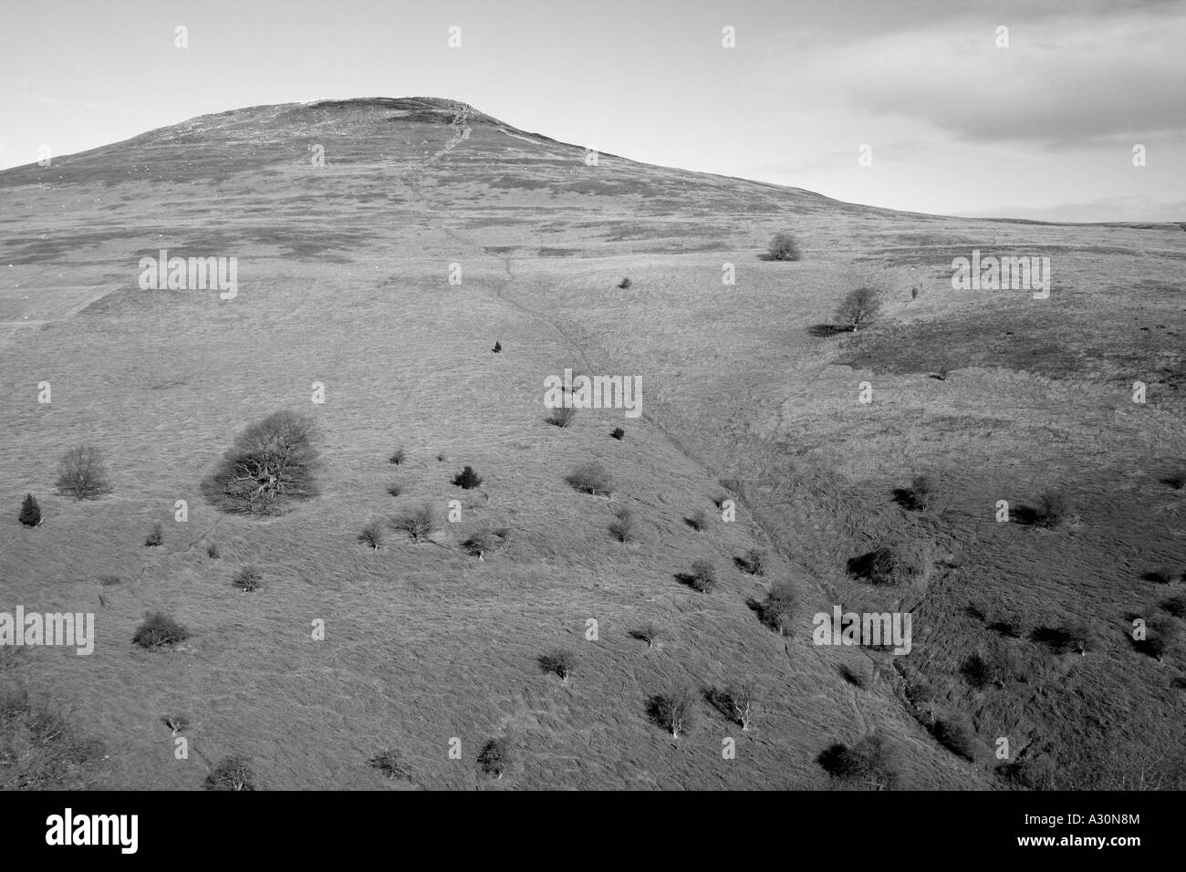 Sugar Loaf Mountain Abergavenny Wales UK Stock Photo Alamy
