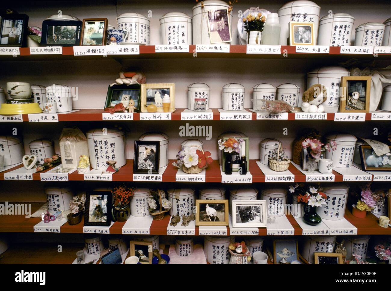 tokyo japan photographs and mementos of pets are displayed with the pots of ashes at the pet cemetry in tokyo 1987 Stock Photo
