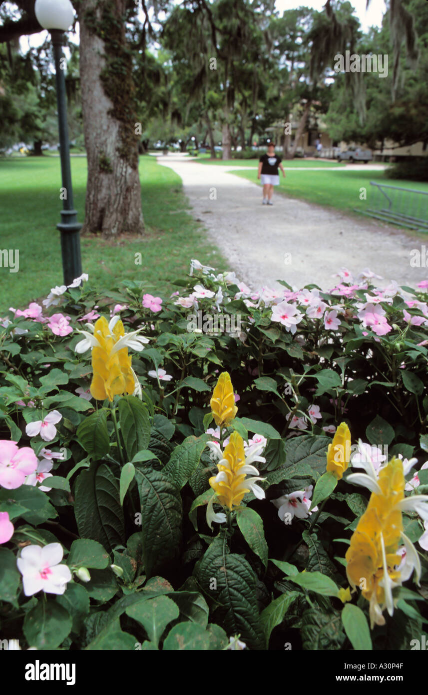 Flowers adorn the walkways and paths on Jekyll Island a popular touristic destination in Georgia Stock Photo