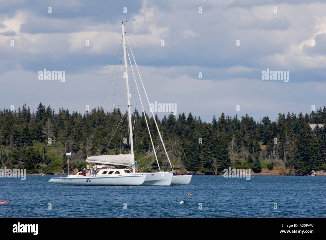 Trimaran Stock Photo