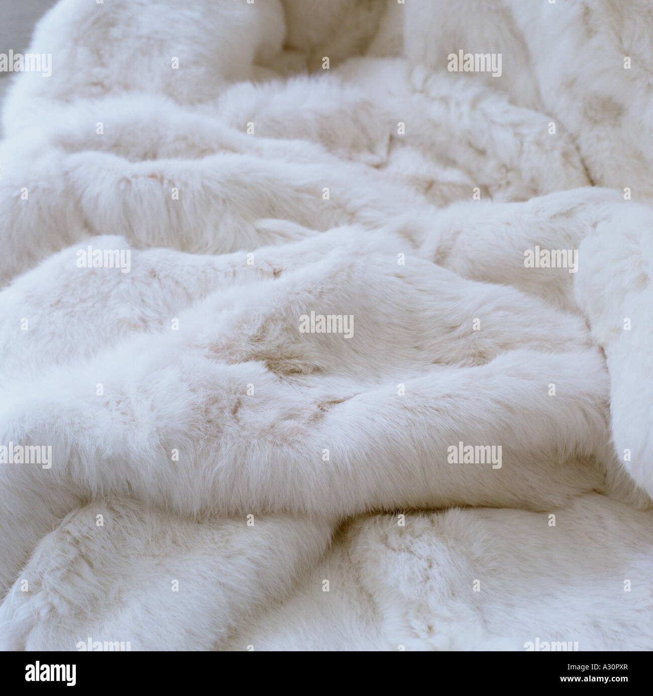 White fur rug hires stock photography and images Alamy