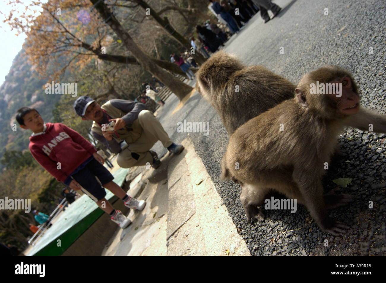 Yama hi-res stock photography and images - Alamy