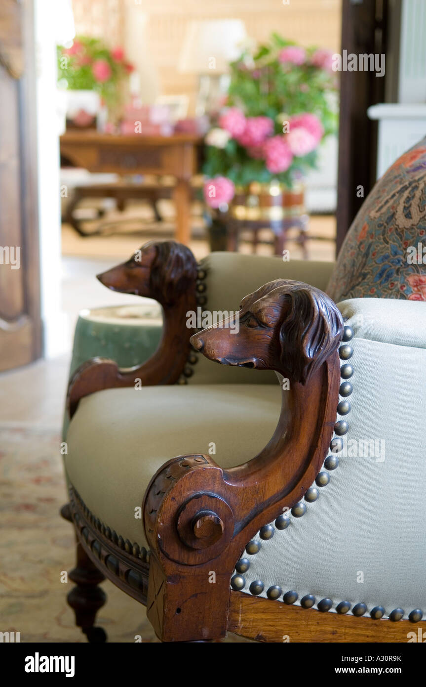 Close up of dogs head detail on armchair Stock Photo Alamy