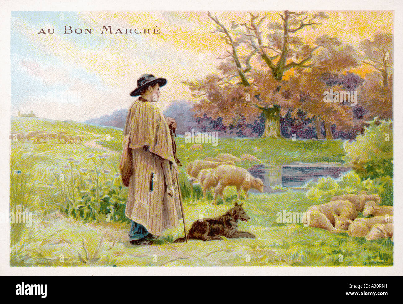 French Shepherd Stock Photo