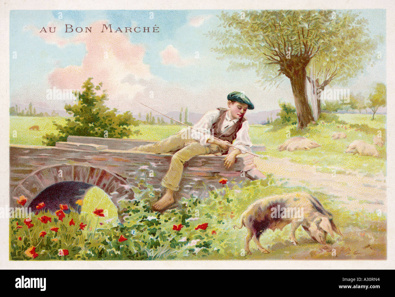 French Pig Keeping Stock Photo Alamy