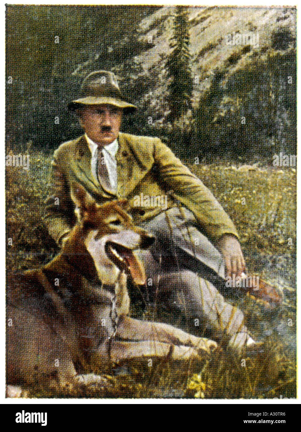 Hitler Favourite Dog 33 Stock Photo