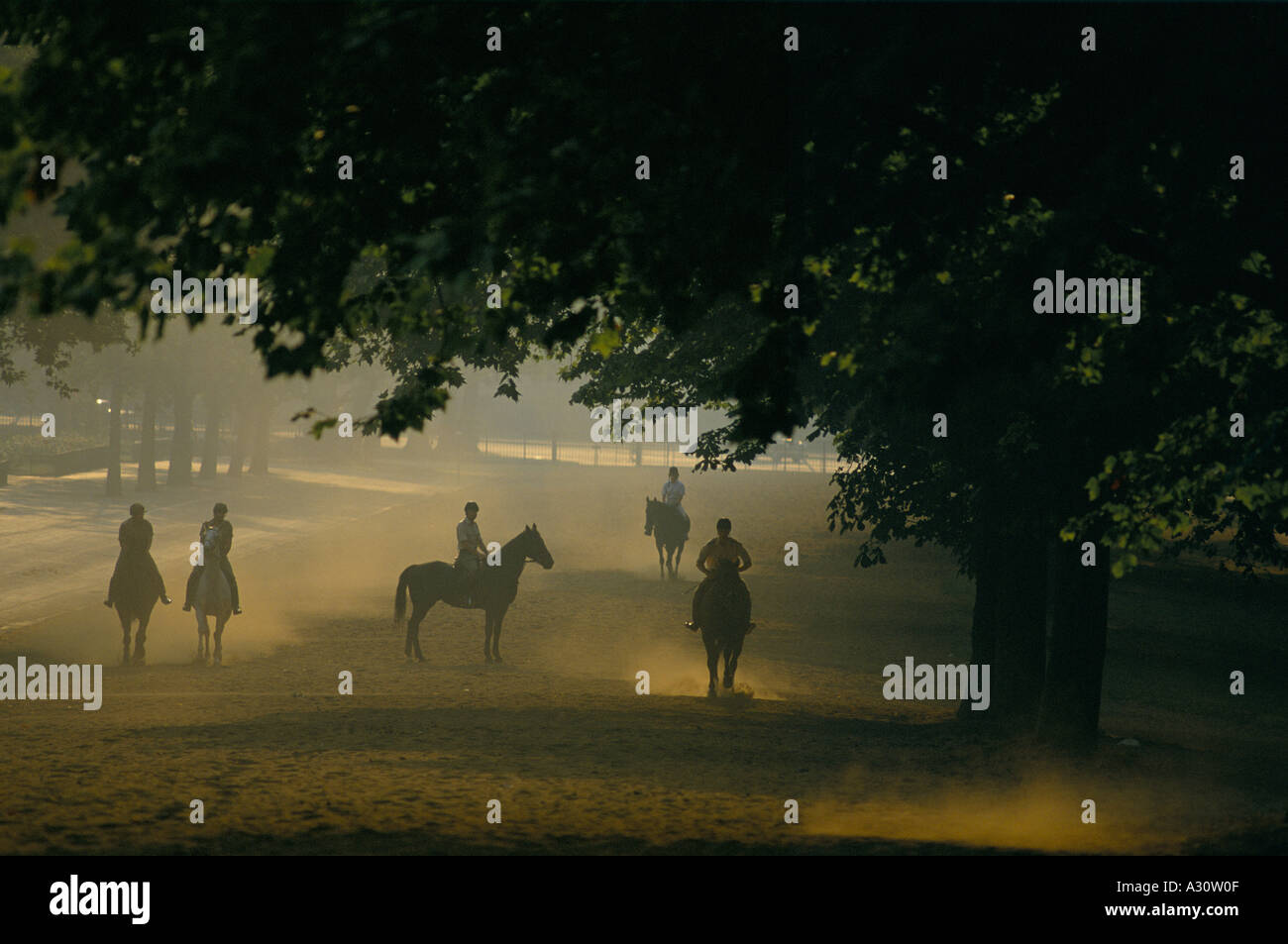 horse riding in hyde park london Stock Photo Alamy