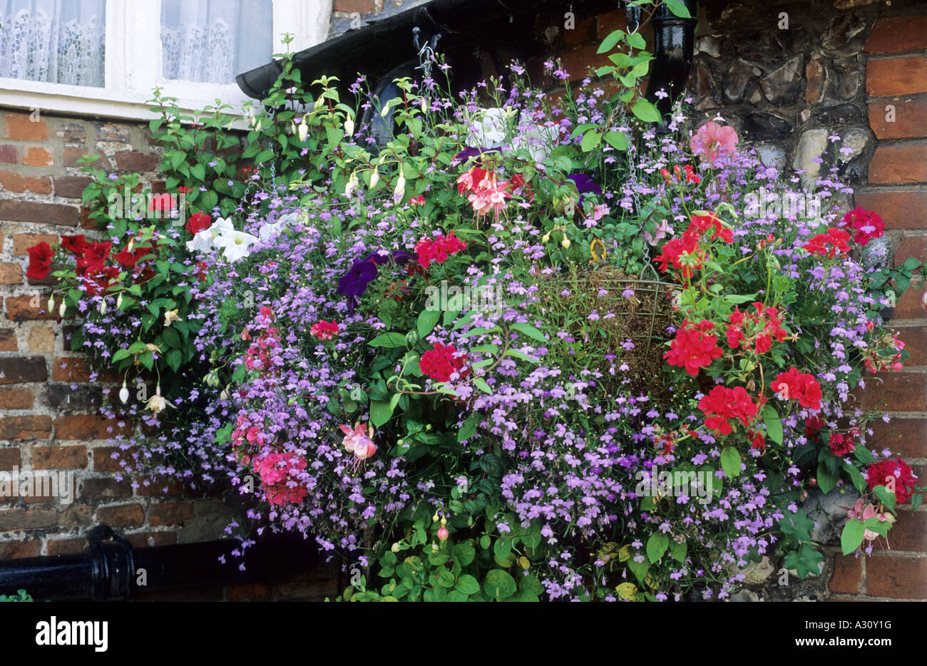 Hanging basket disguising drain pipe hires stock photography and