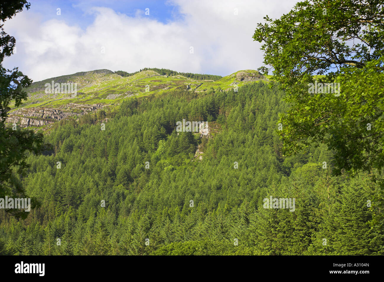 Hilltop above the River Cwm mynach Stock Photo Alamy
