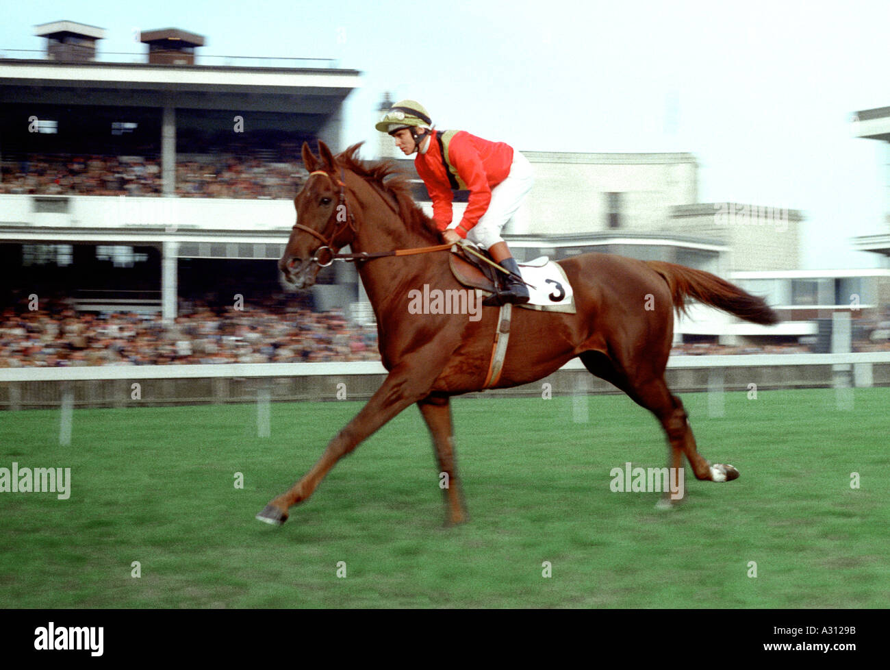 1970s horse racing hi-res stock photography and images