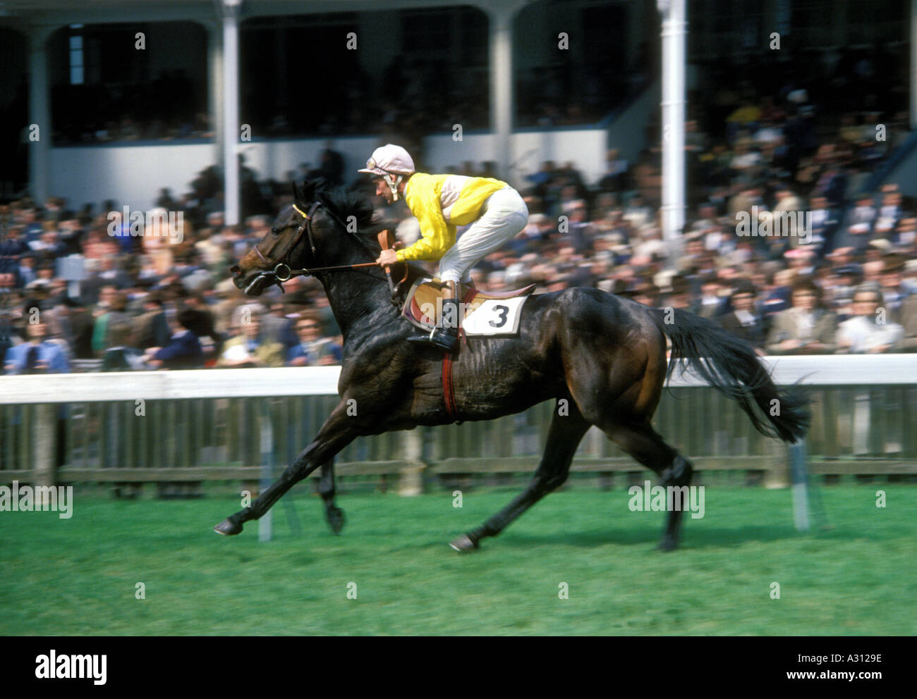 Vintage late 1970s Newmarket horseracing horse and jockey Edward Hide going to start  Stock Photo