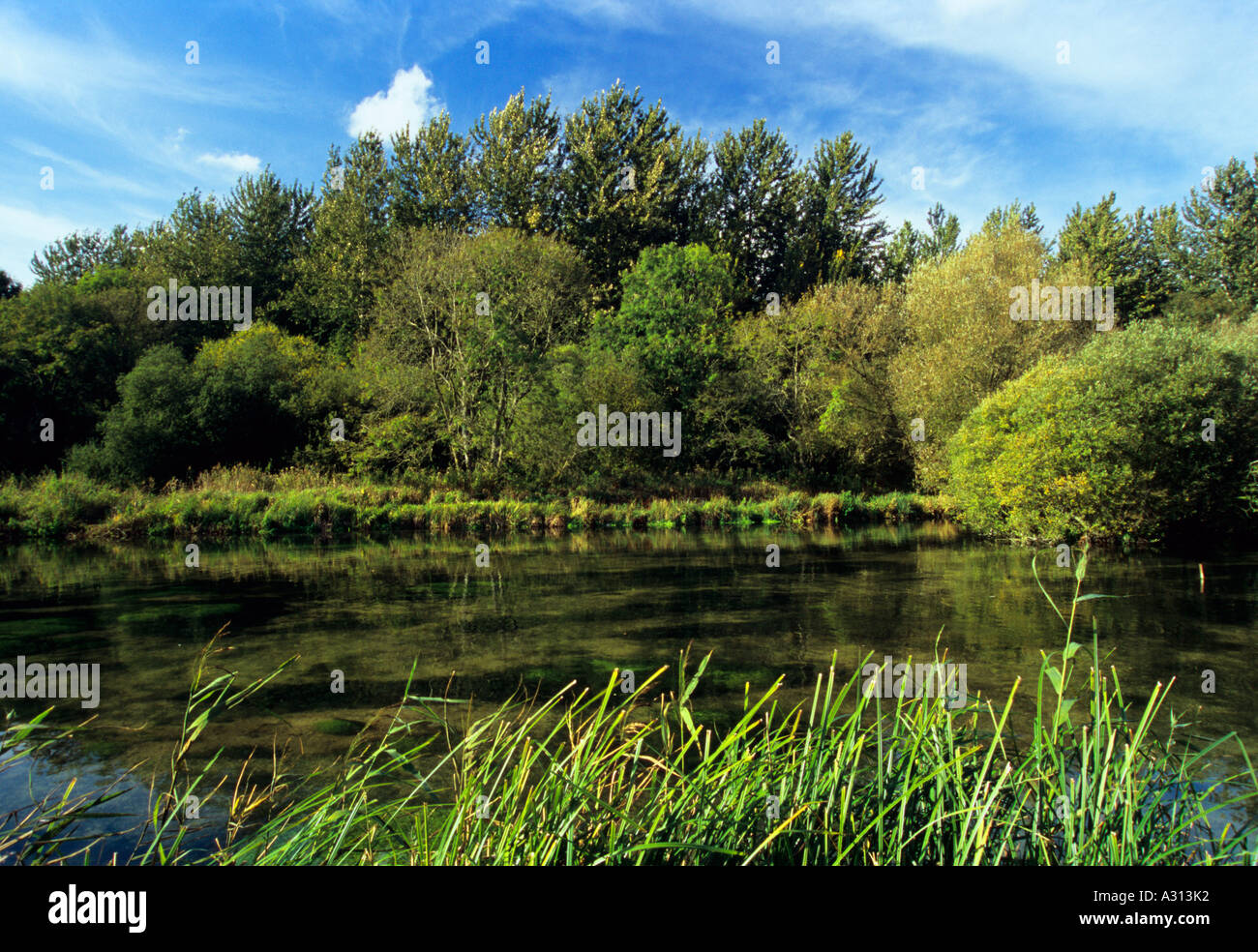The river Test at Chilbolton Common Hampshire England UK Stock Photo