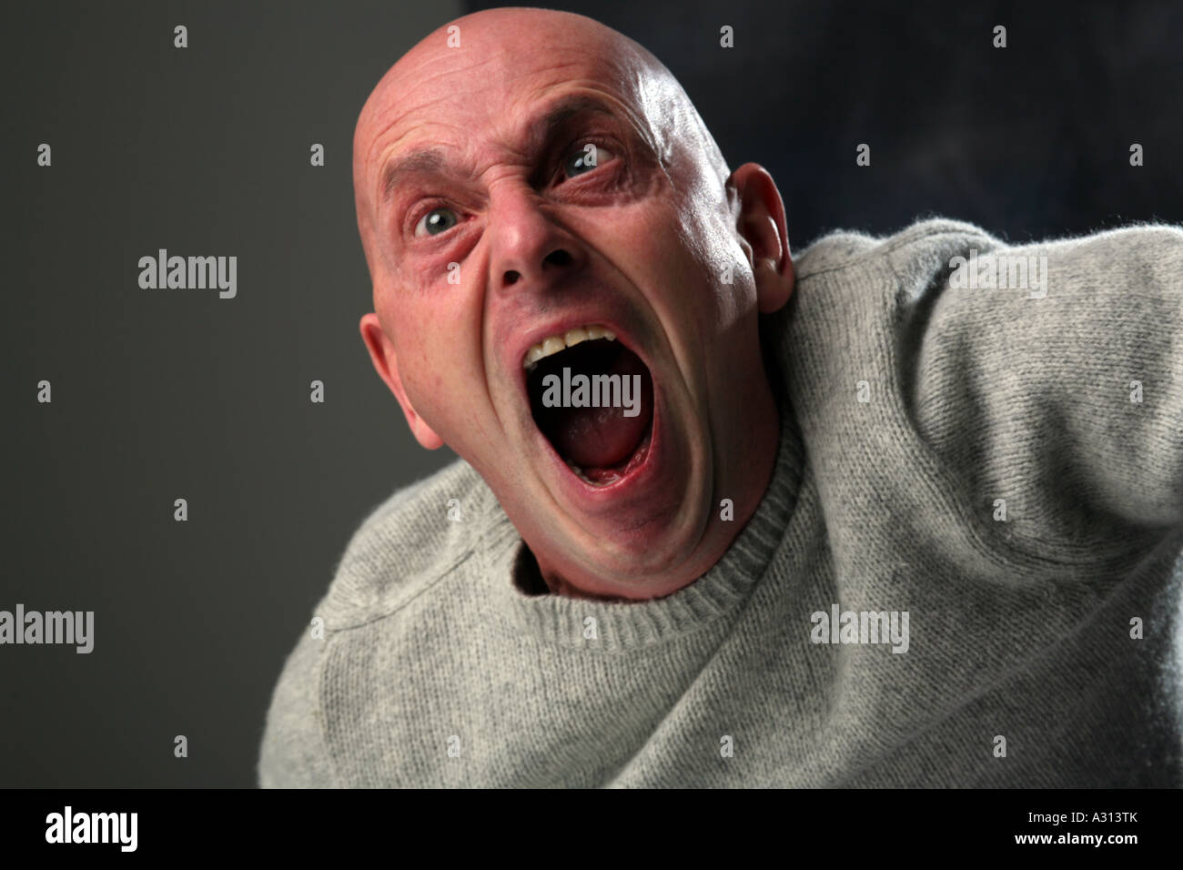 studio portrait of bald man screaming in agony Stock Photo - Alamy