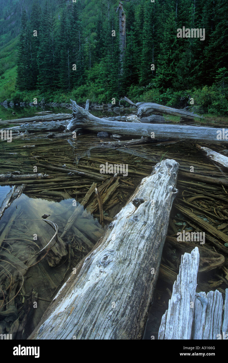 Big Greider Lake in the Cascade Mountain Range, Washington, USA Stock Photo