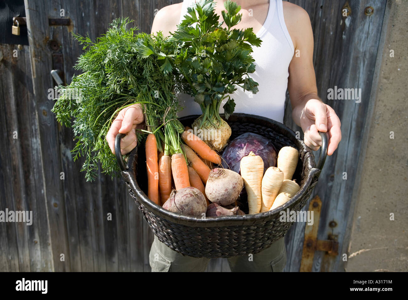 Man holding freshly picked vegetables in basket Stock Photo