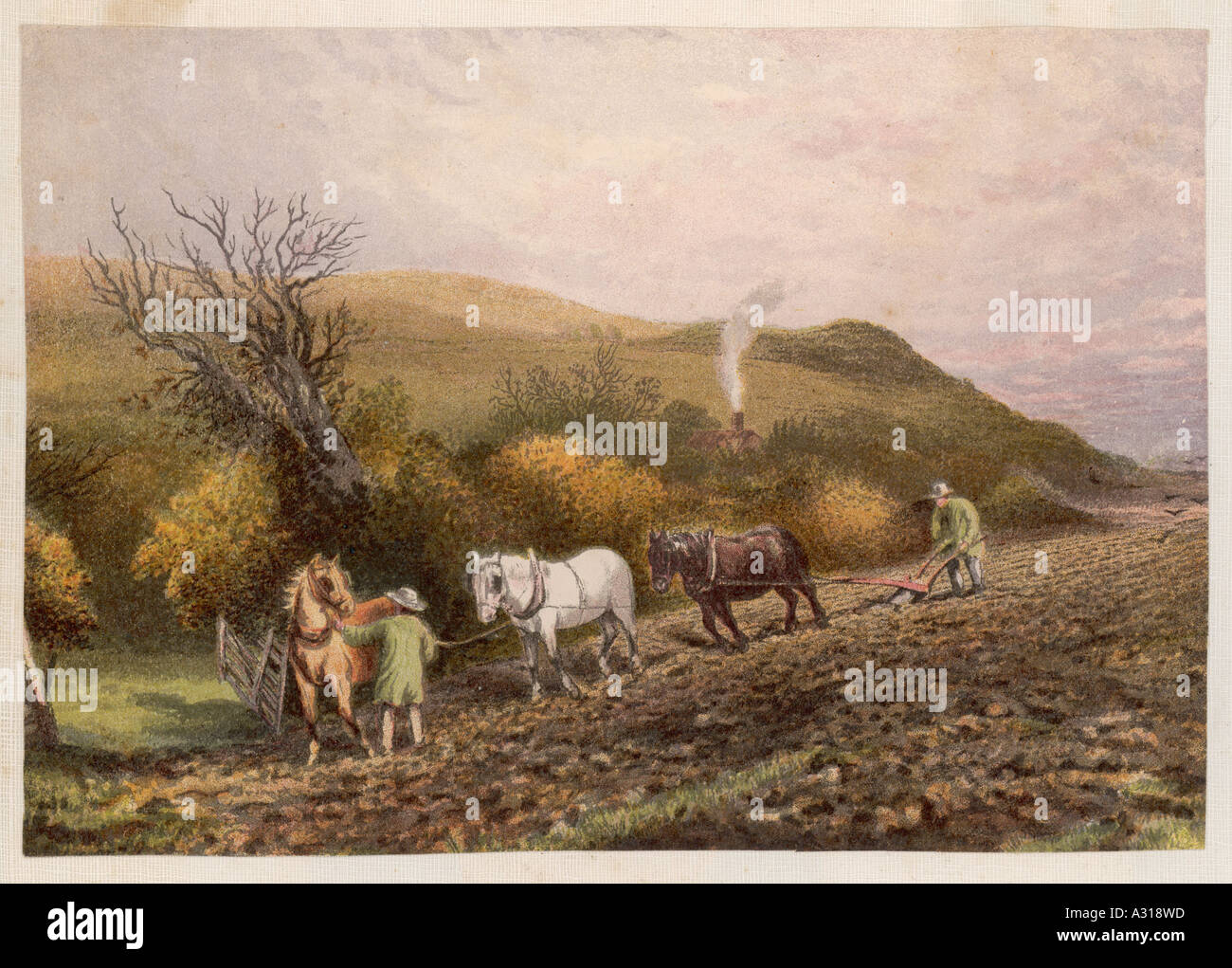 Plough With 3 Horses Stock Photo Alamy