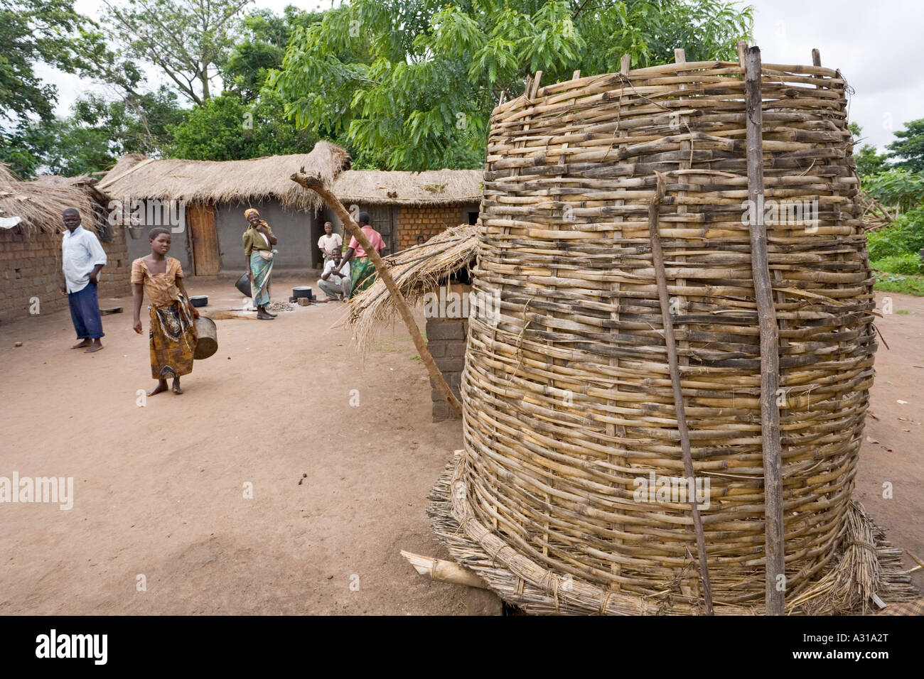 Empty grain store, garner (nkhokhwe) for maize cobs in the village of