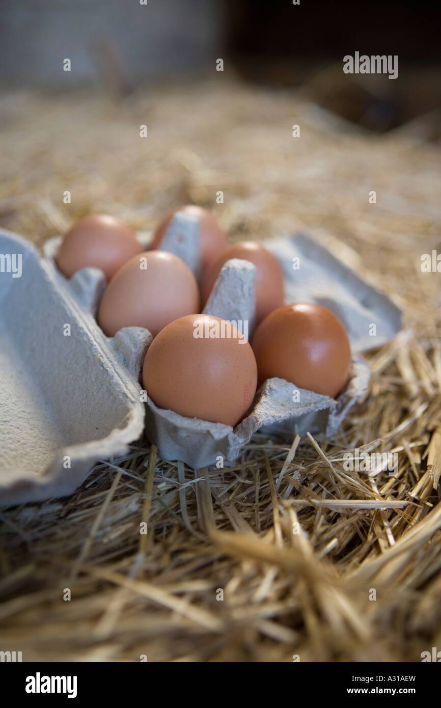 Eggs in a box with straw Stock Photo - Alamy