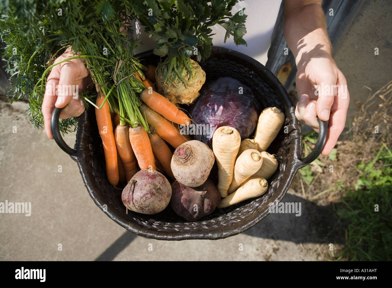 Freshly picked vegetables in a basket Stock Photo