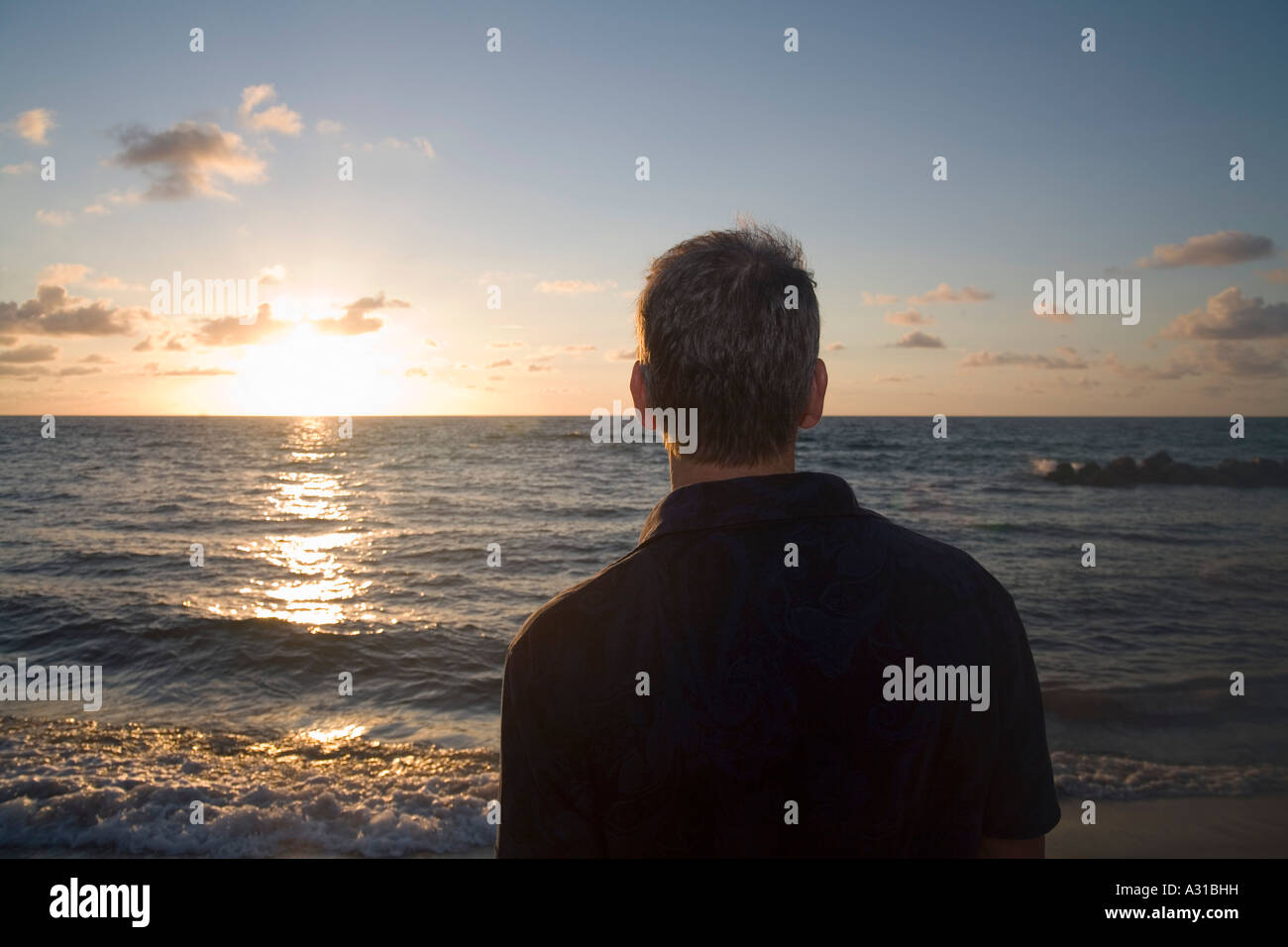 Rear view of man looking out to sea Stock Photo - Alamy