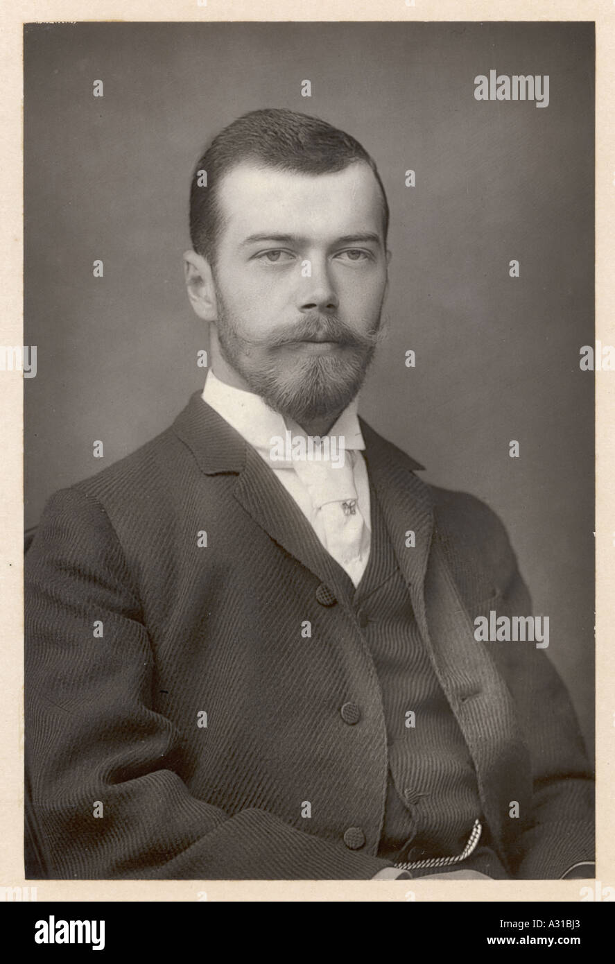 Nicolas Ii Downey 1894 Stock Photo