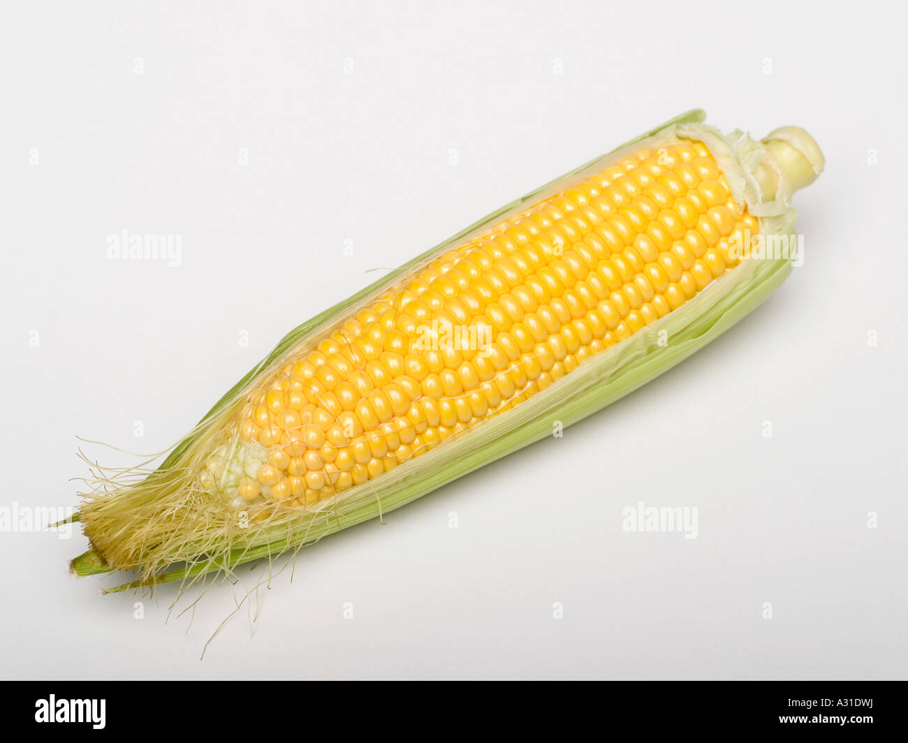 Corn on the cob Stock Photo