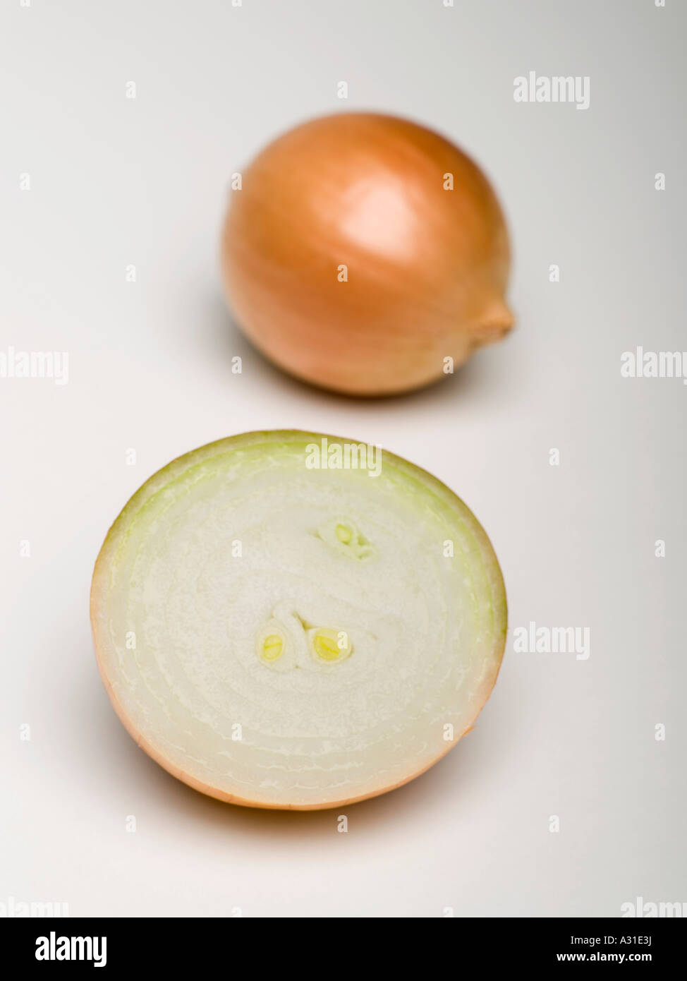 Vertical shot brown onions hi-res stock photography and images - Alamy