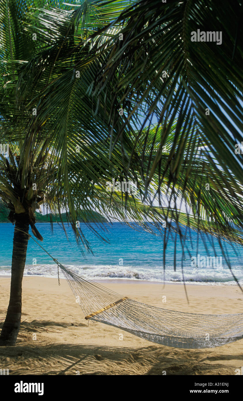 Hammock On The Beach Of Curtain Bluff Resort A Luxury Hotel In