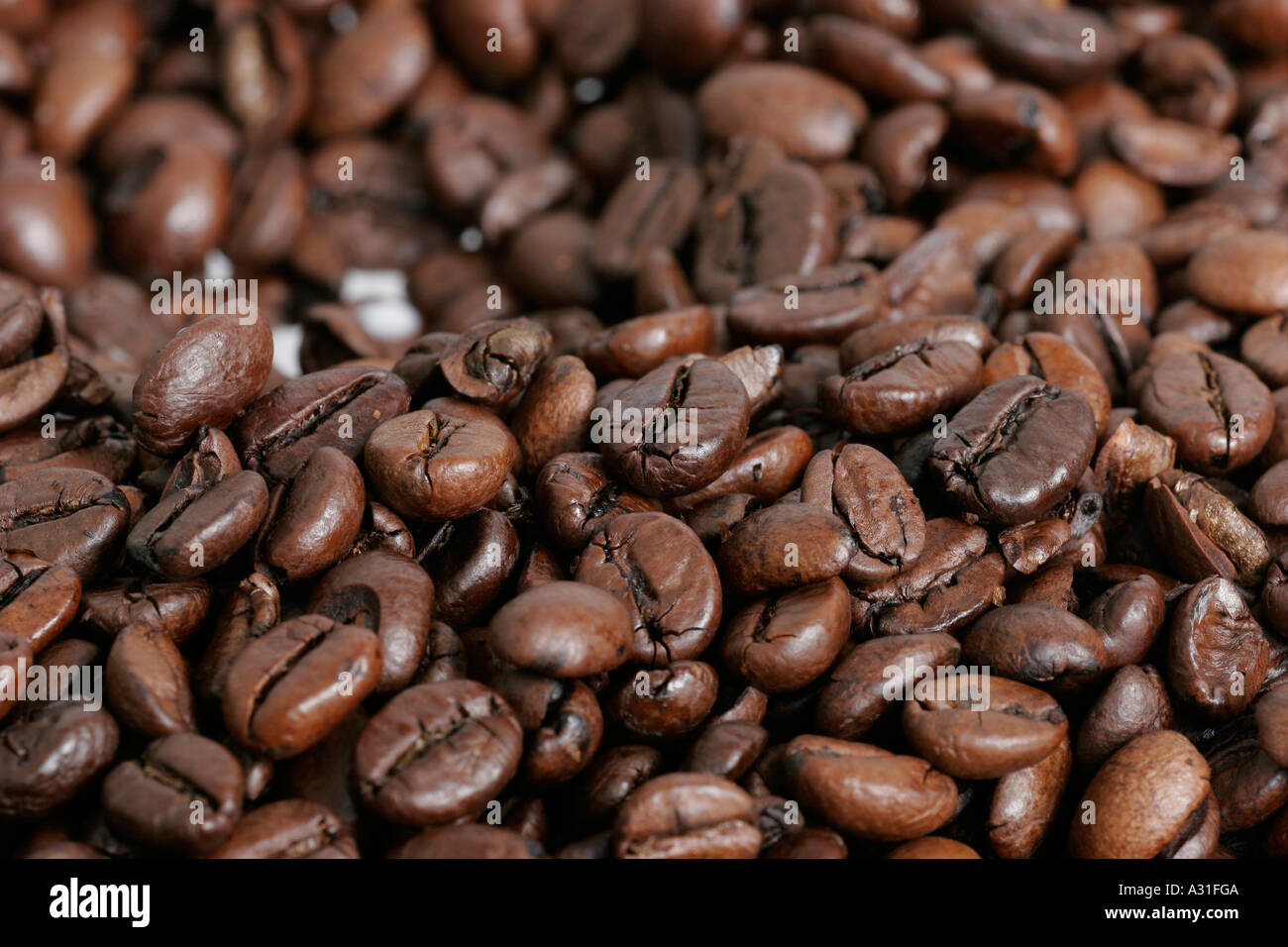 Coffee beans full frame Stock Photo