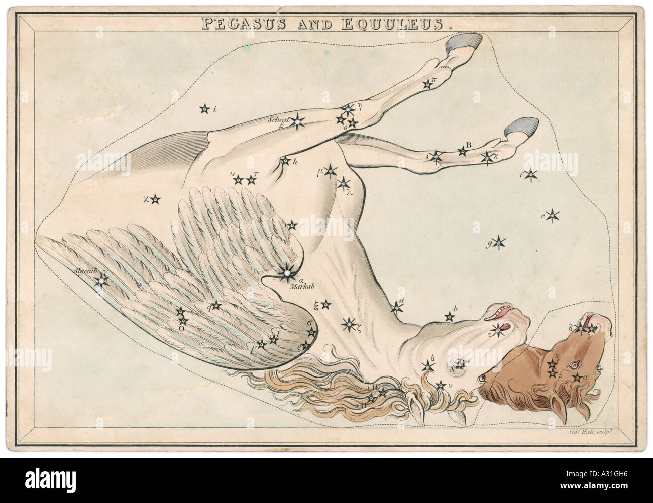 Pegasus Star Map Stock Photo