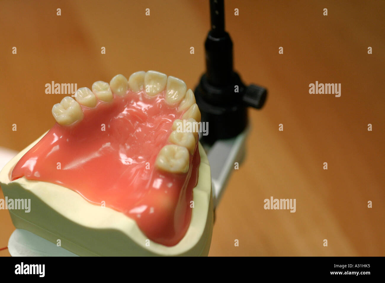 Dentures in laboratory close up elevated view Stock Photo