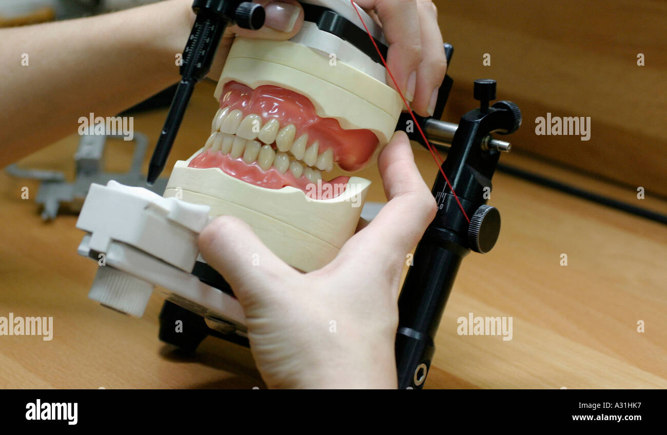 Woman working on dentures in laboratory close up elevated view Stock Photo
